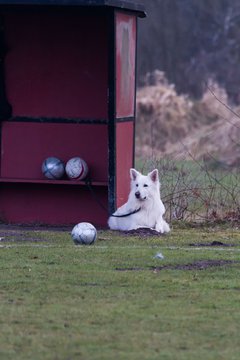 Bild 49 - VfL Struvenhtten - TSV Zarpen : Ergebnis: 2:2